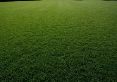 Imagen PNG para descargar